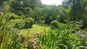 Winter Garden photo 7